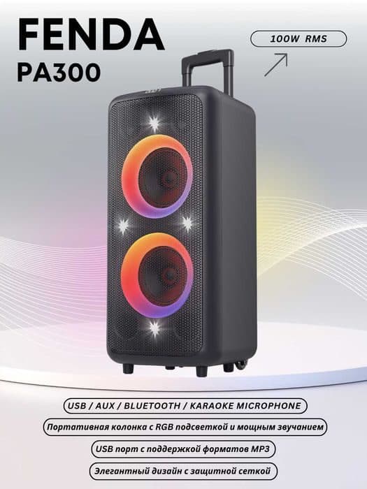 Портативная колонка Fenda PA300 c микрофоном в комплекте