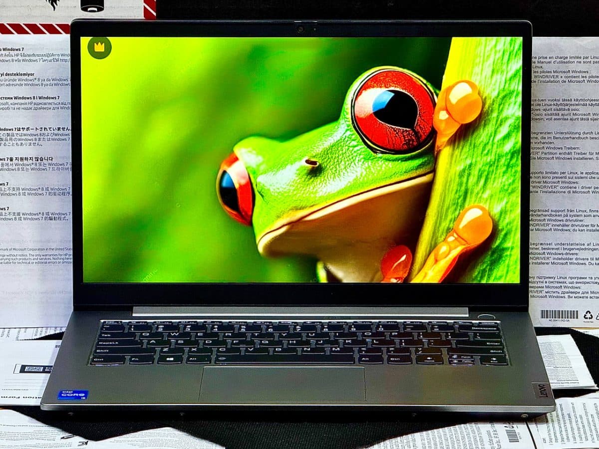 Lenovo ThinkPad